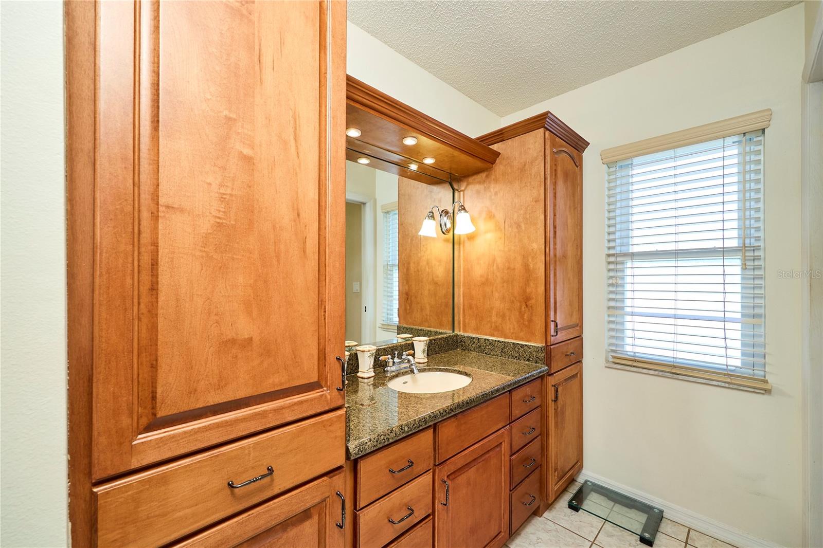 311 THORN HILL PLACE, Sun City Center, FL 33573