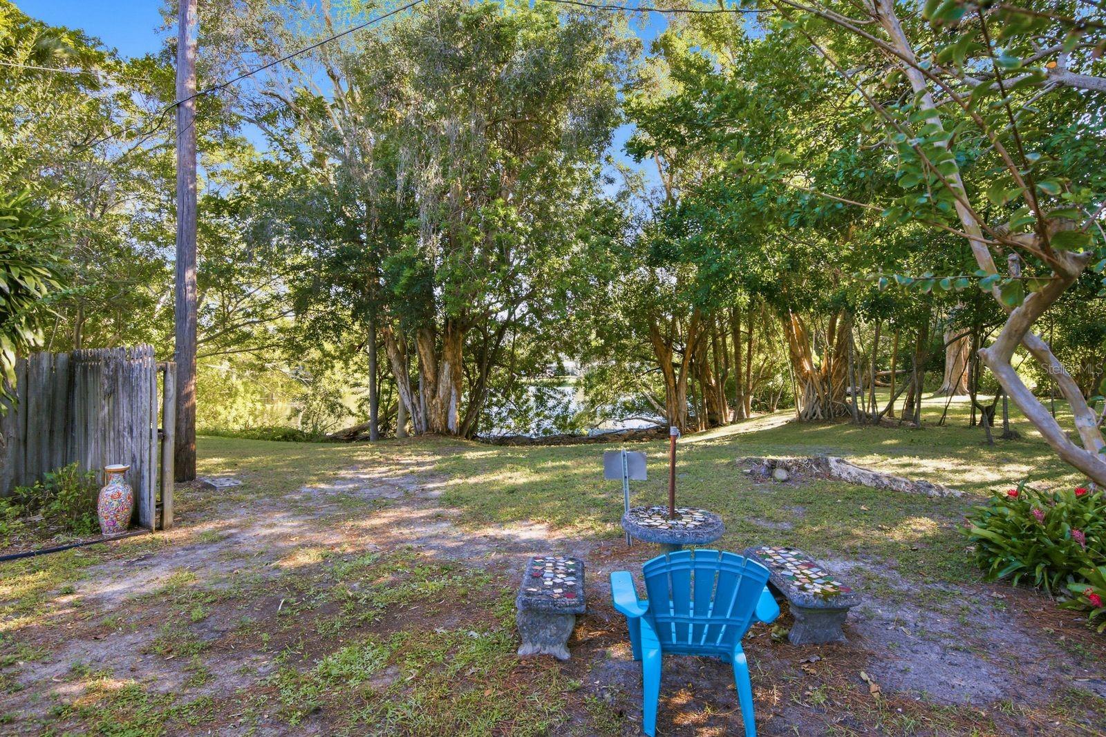 Pond view