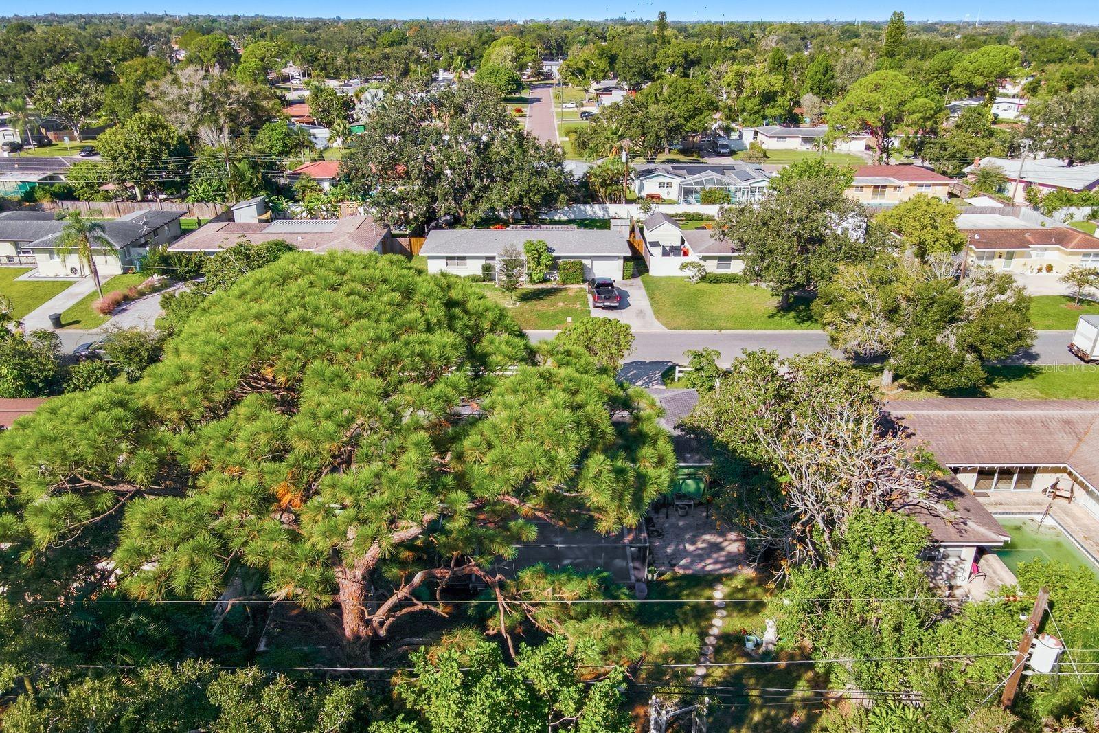 6801 17TH LANE N, St Petersburg, FL 33702