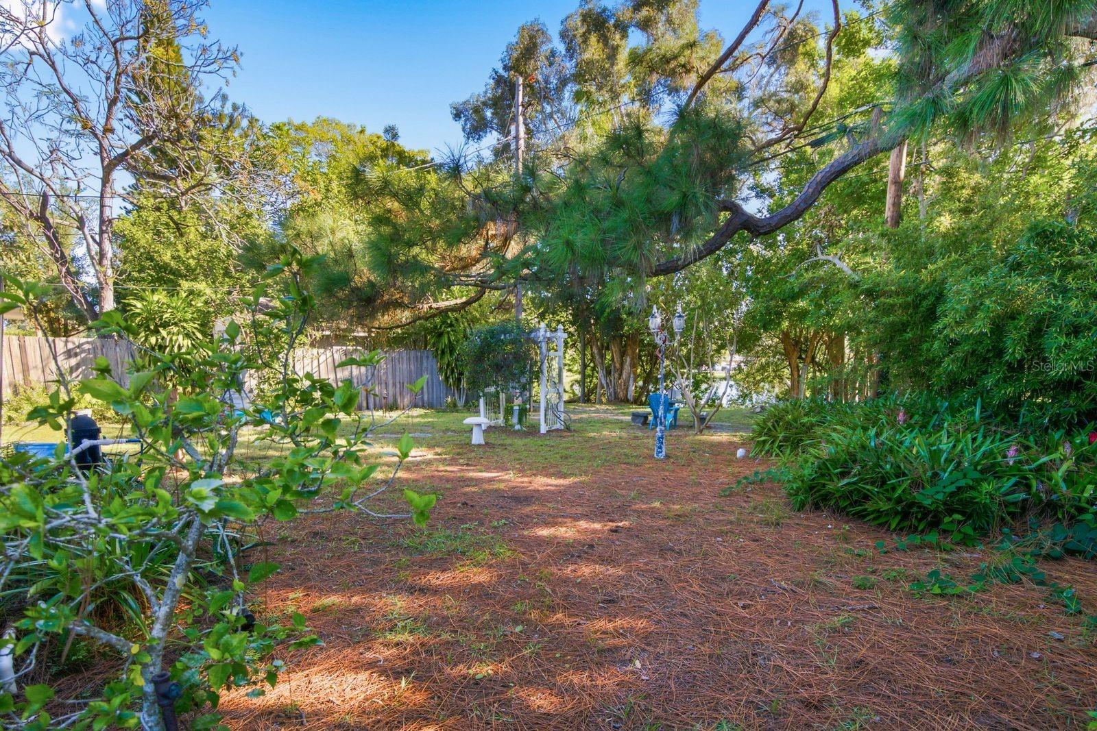 Backyard