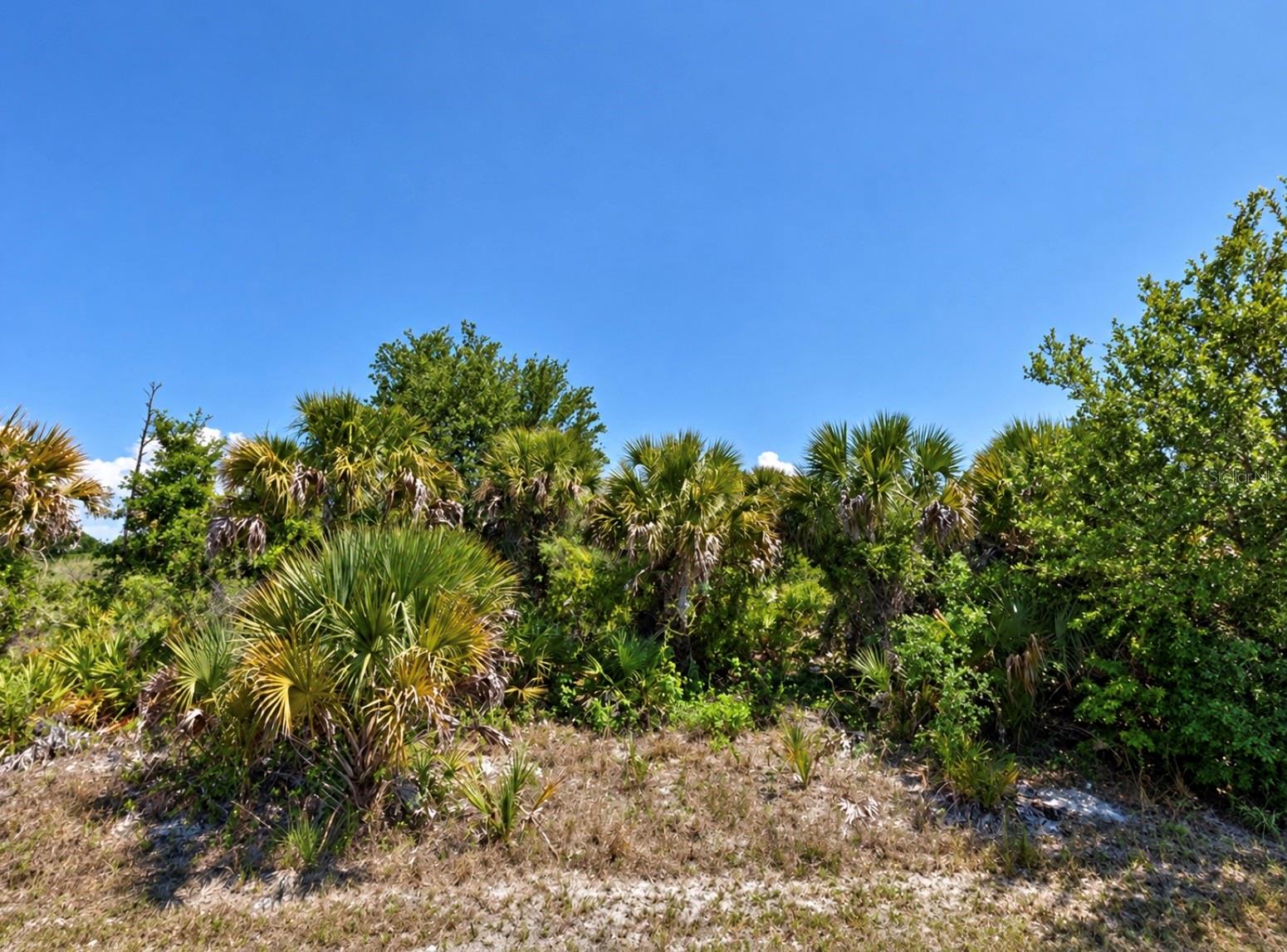 PONDS STREET, North Port, FL 34286