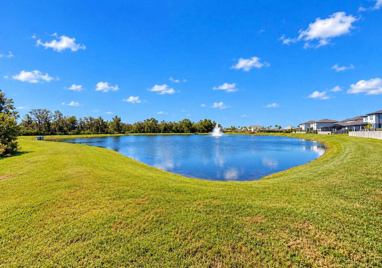 6936 DEPUE DRIVE, Wesley Chapel, FL 33545