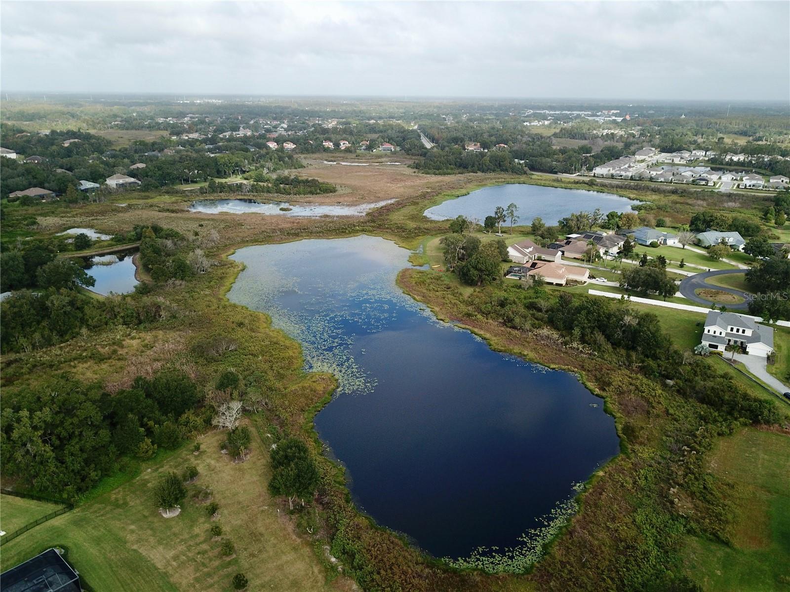 19792 AUGUSTA PRESERVE DRIVE, Lutz, FL 33549