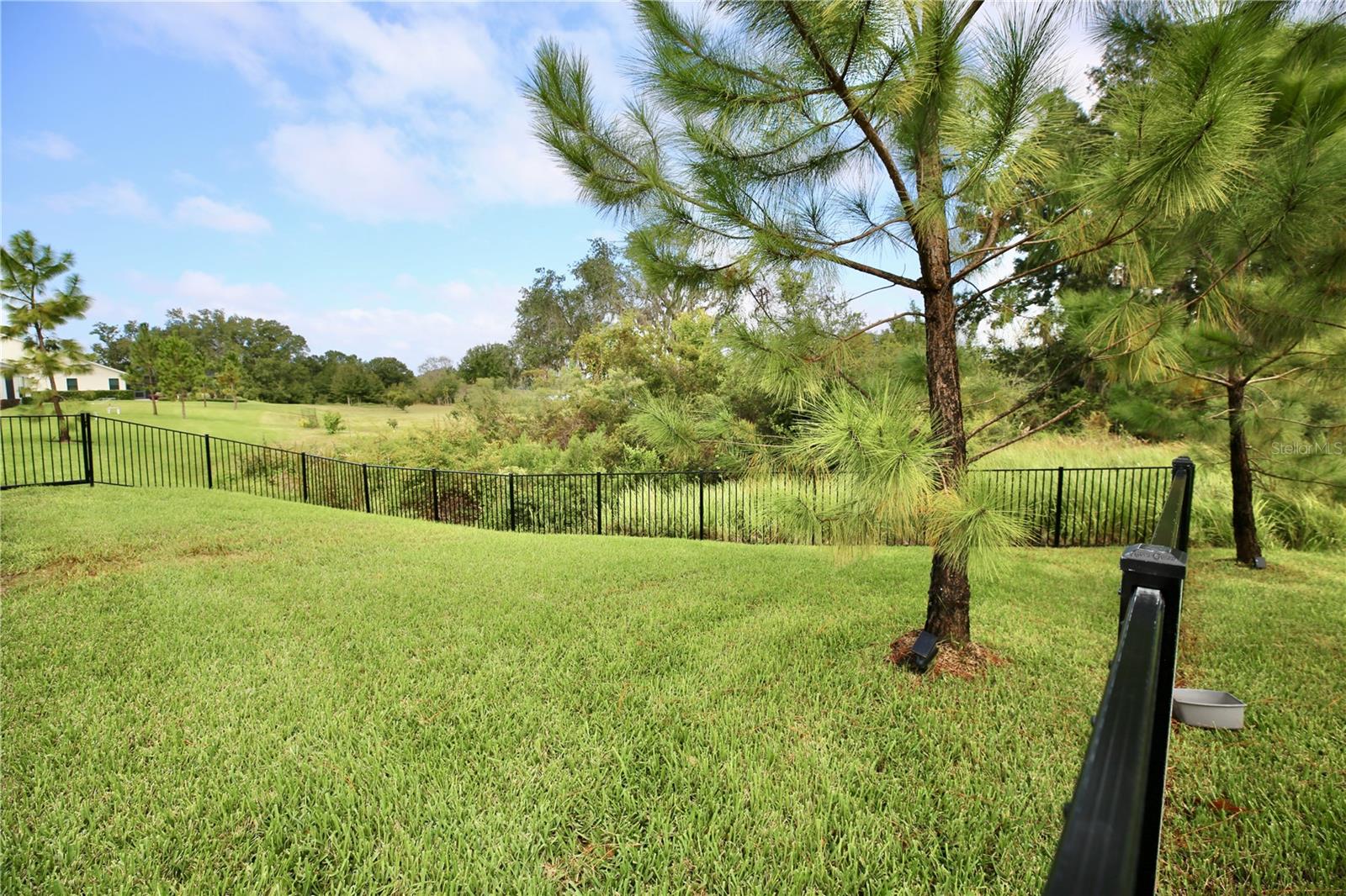 19792 AUGUSTA PRESERVE DRIVE, Lutz, FL 33549