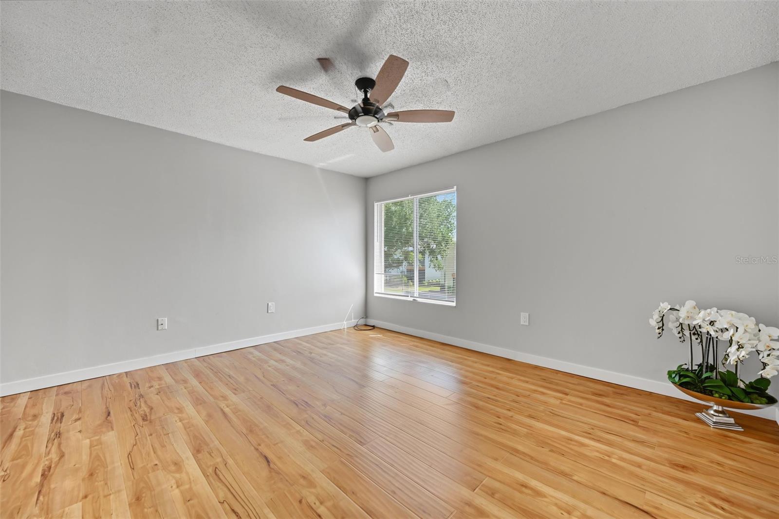 The Master Bedroom
