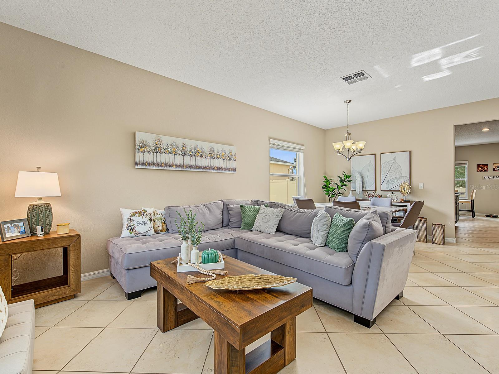 living room 1