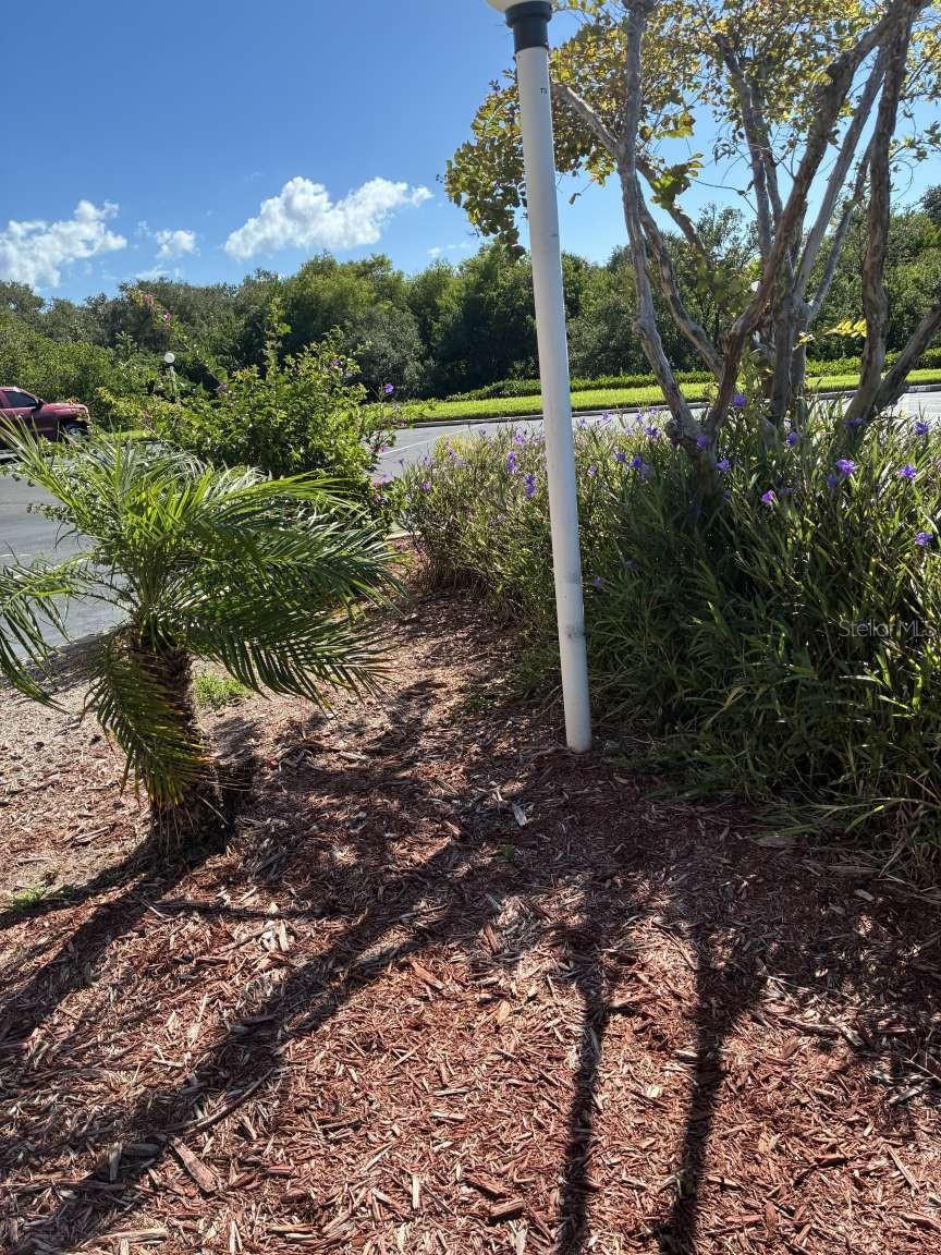 12760 INDIAN ROCKS ROAD, #1049, Largo, FL 33774