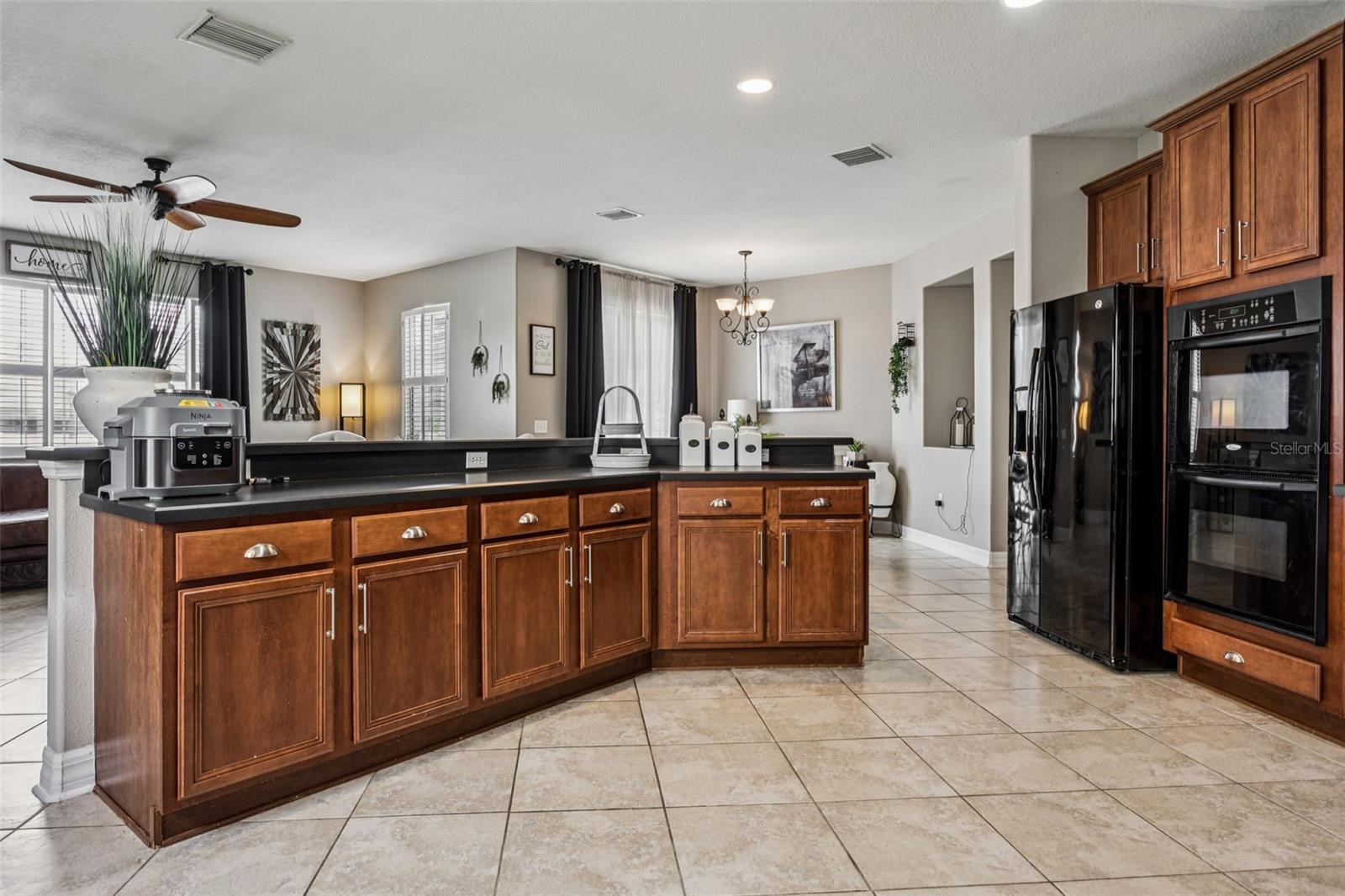 11138 HARTFORD FERN DRIVE, Riverview, FL 33569