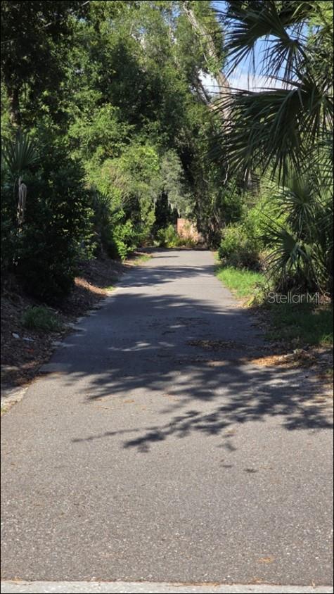 Driveway to back 2 lots Driveway to back 2 lots