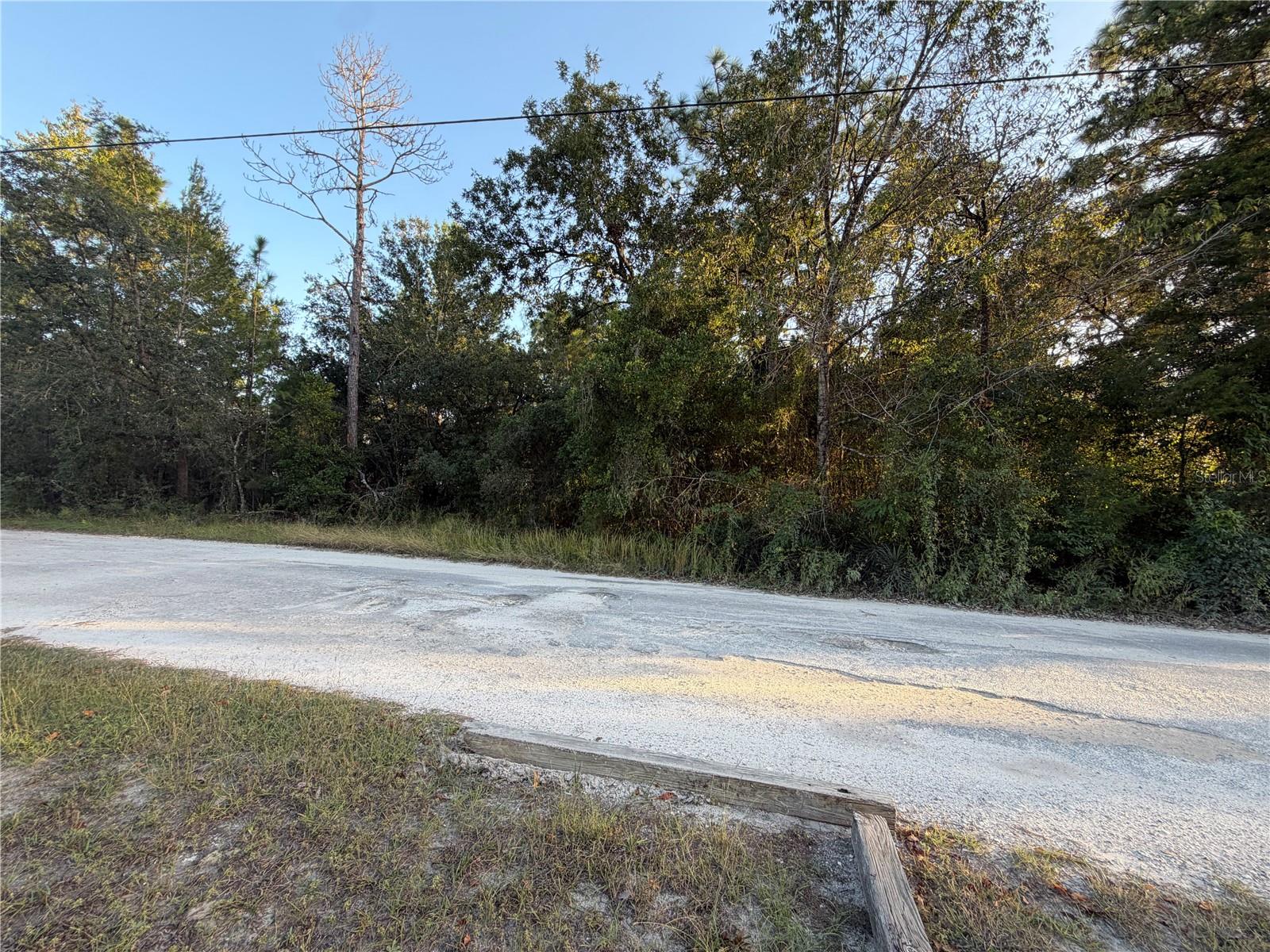 5296 S JUNE TERRACE, Homosassa, FL 34446