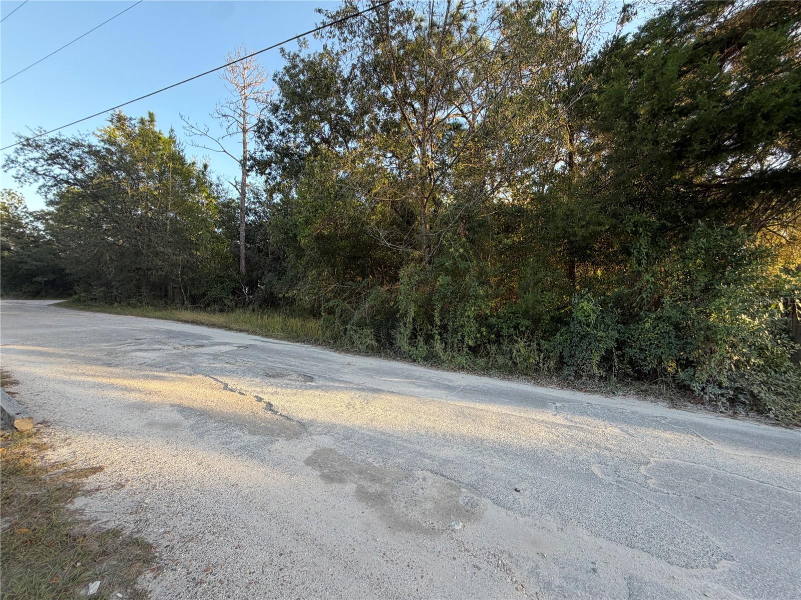 5296 S JUNE TERRACE, Homosassa, FL 34446