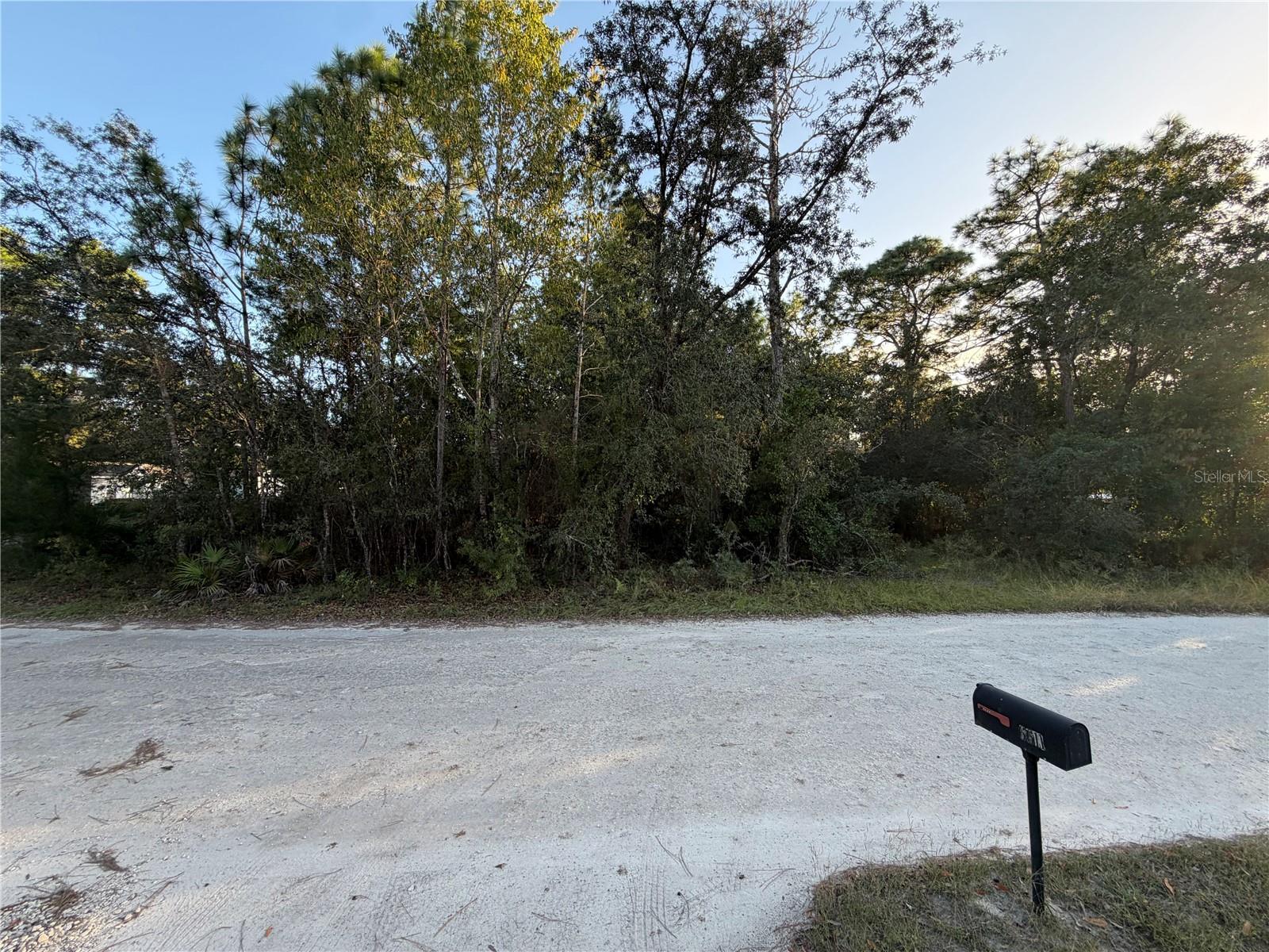 5296 S JUNE TERRACE, Homosassa, FL 34446