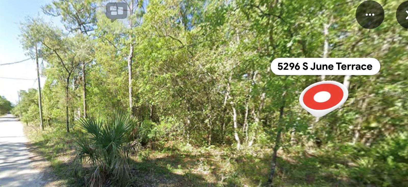 5296 S JUNE TERRACE, Homosassa, FL 34446