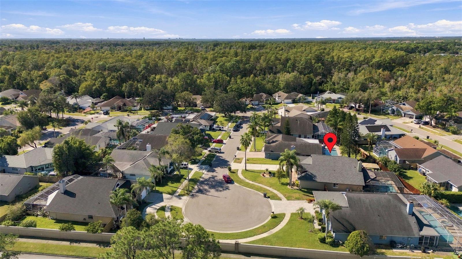 8708 CHARMING KNOLL COURT, Tampa, FL 33635