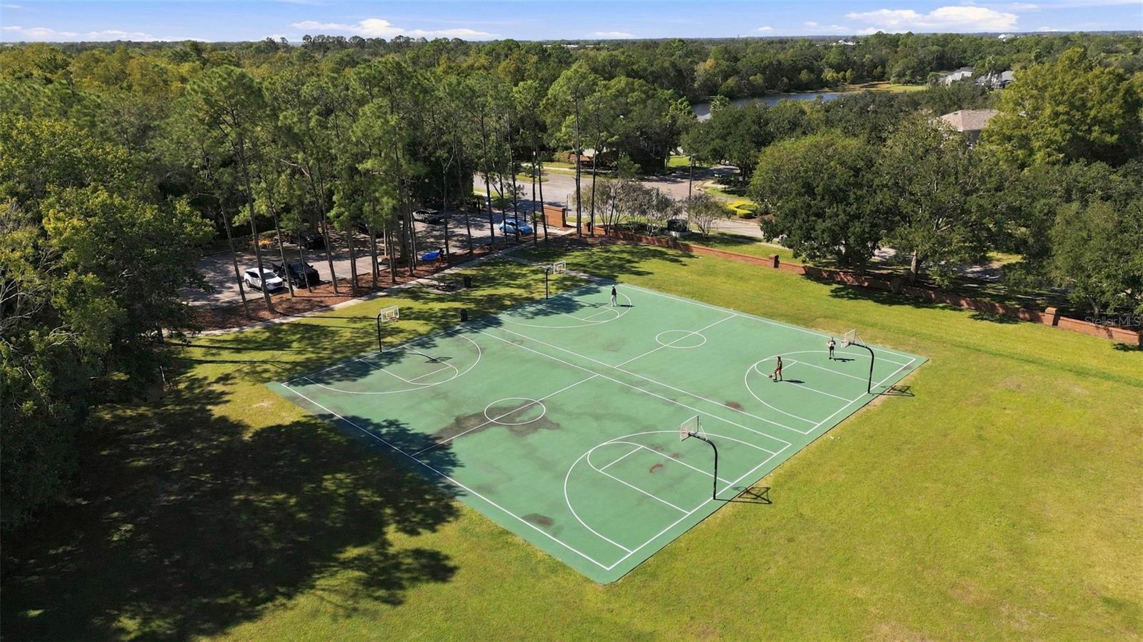 8708 CHARMING KNOLL COURT, Tampa, FL 33635