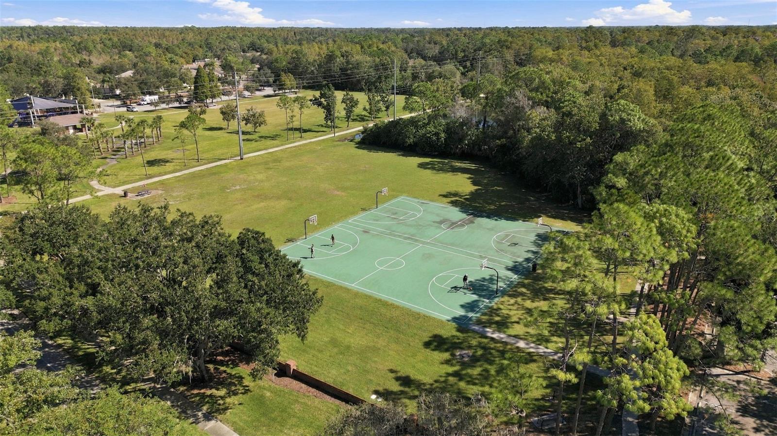 8708 CHARMING KNOLL COURT, Tampa, FL 33635