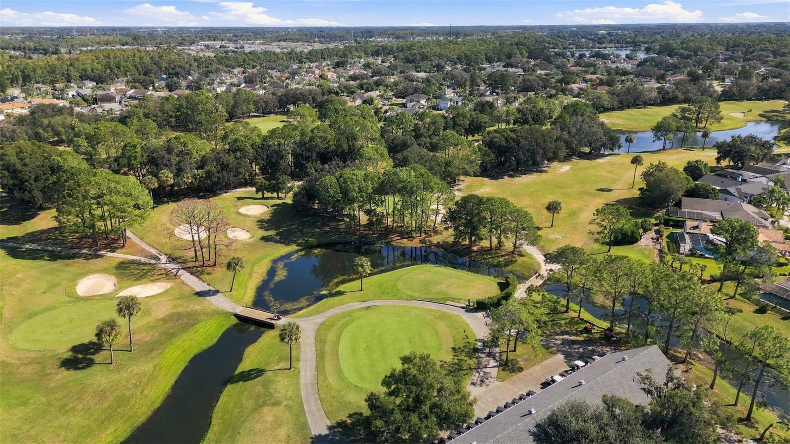 8708 CHARMING KNOLL COURT, Tampa, FL 33635