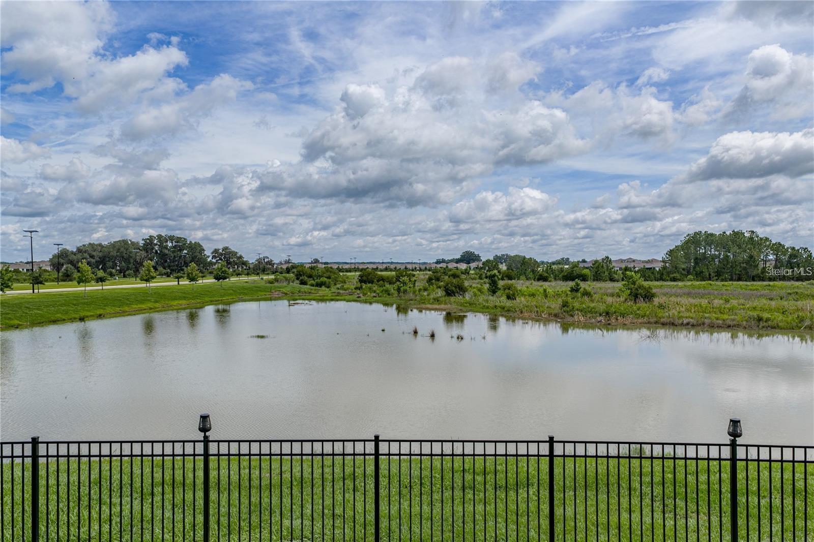 10368 FIELDSTONE MYRTLE WAY, San Antonio, FL 33576
