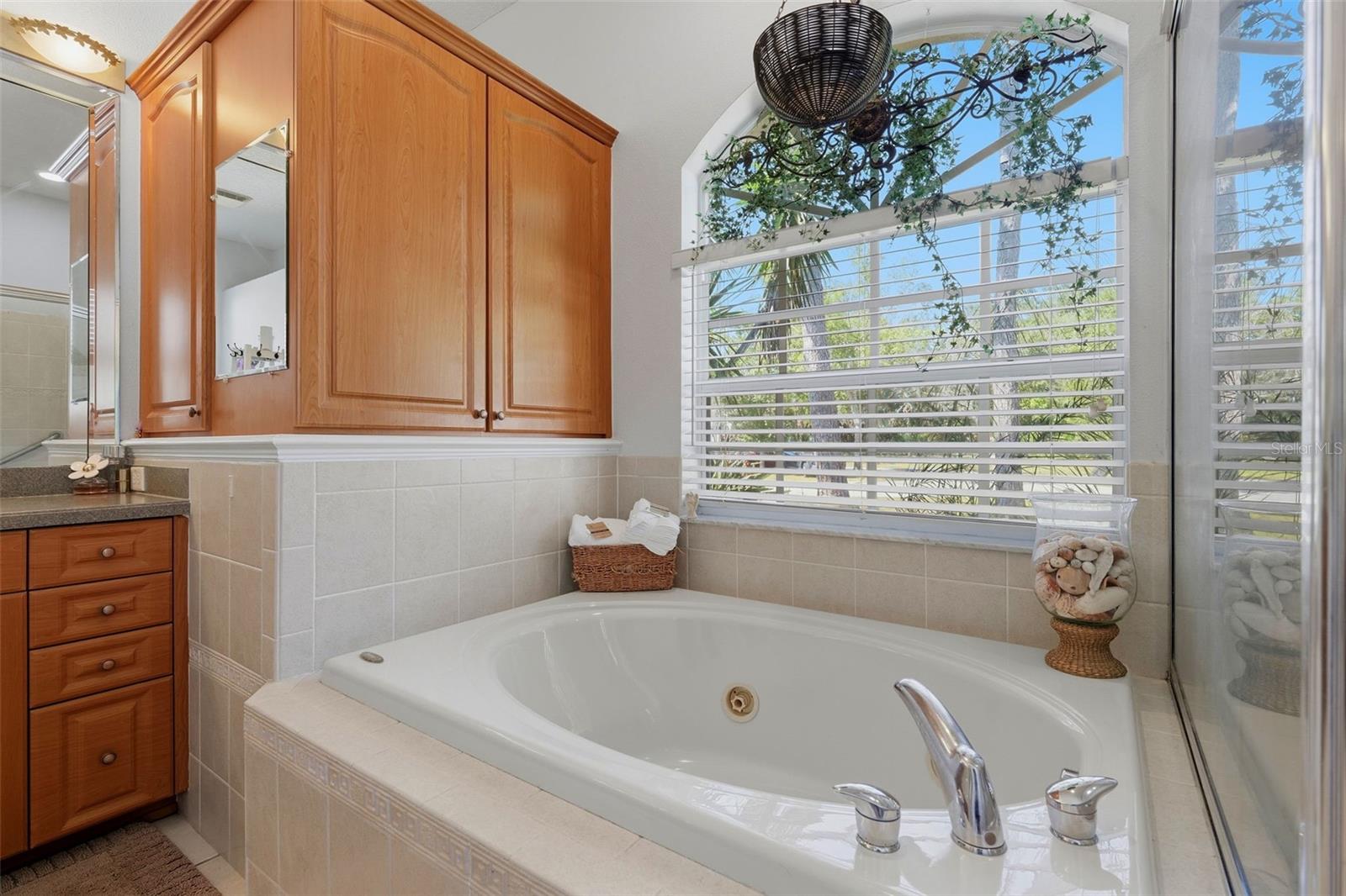 Primary Bathroom Tub