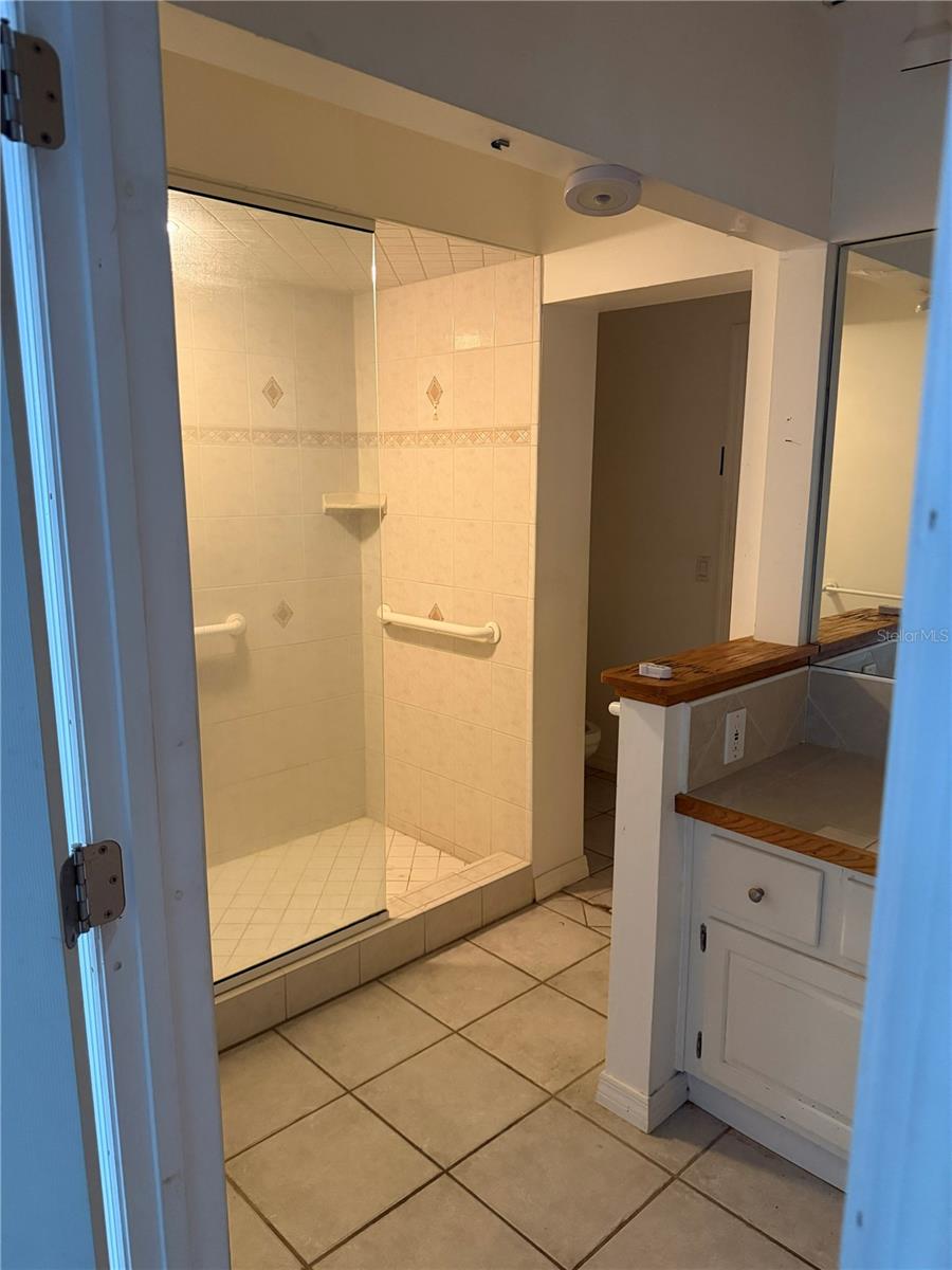 816 CHILDERS LOOP, Brandon, FL 33511