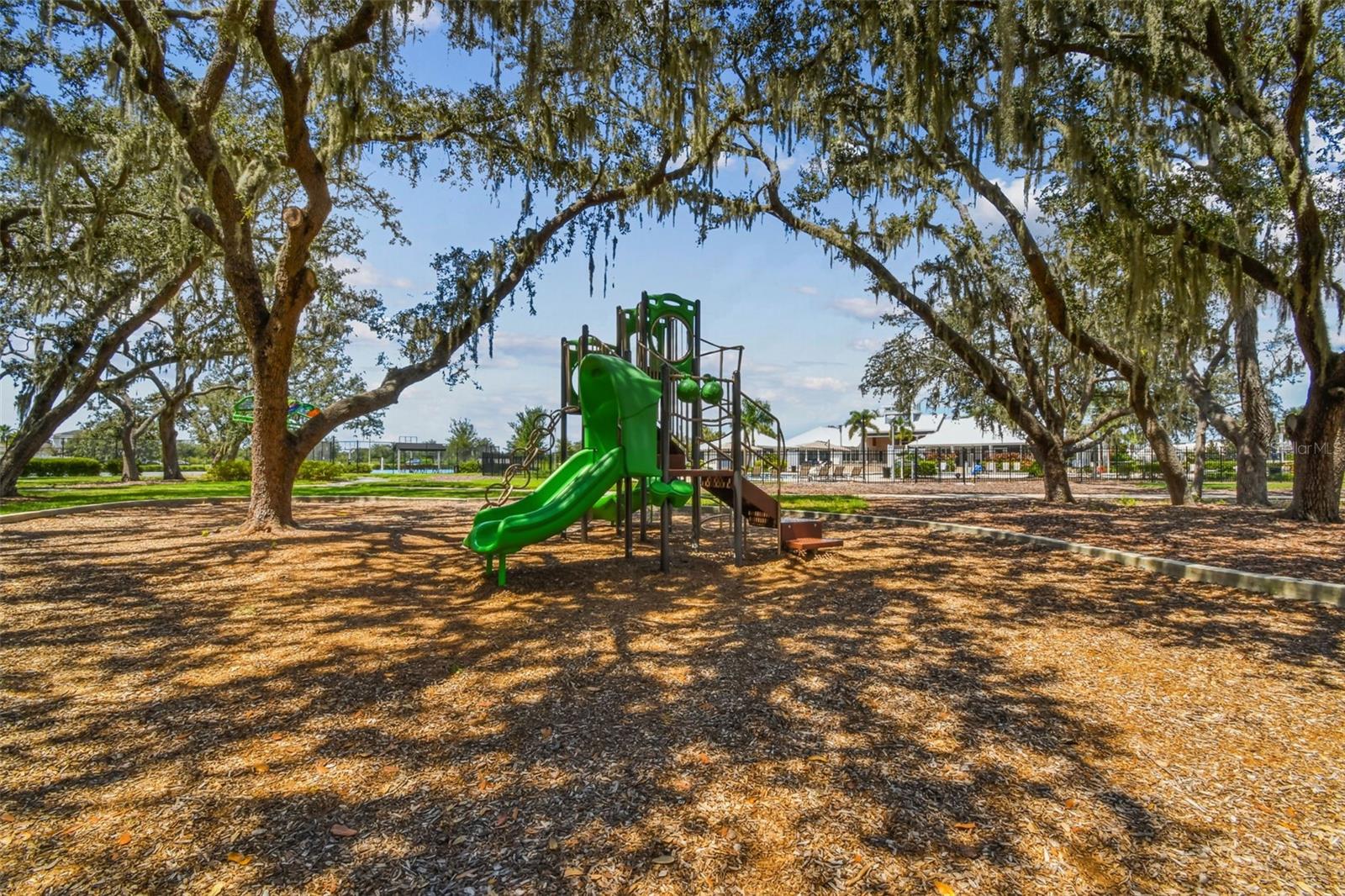 12401 TRIPLE CREEK BOULEVARD, Riverview, FL 33579