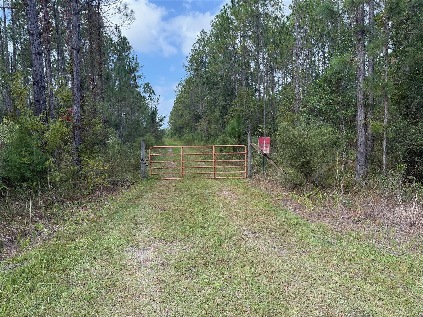 WILD CUR ROAD, Pierson, FL 32180