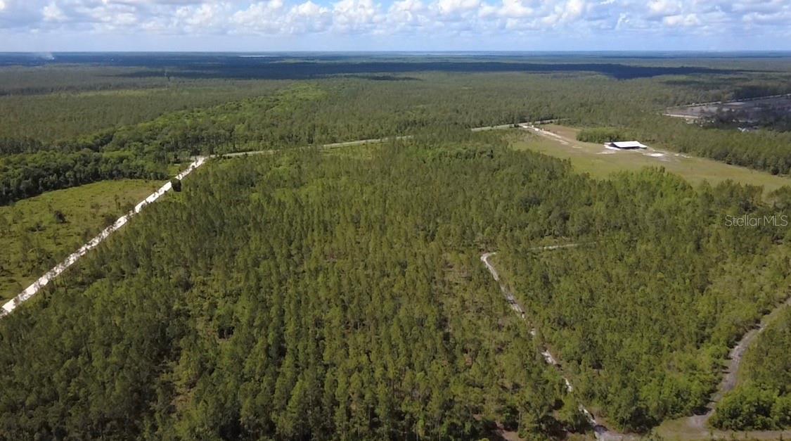 WILD CUR ROAD, Pierson, FL 32180