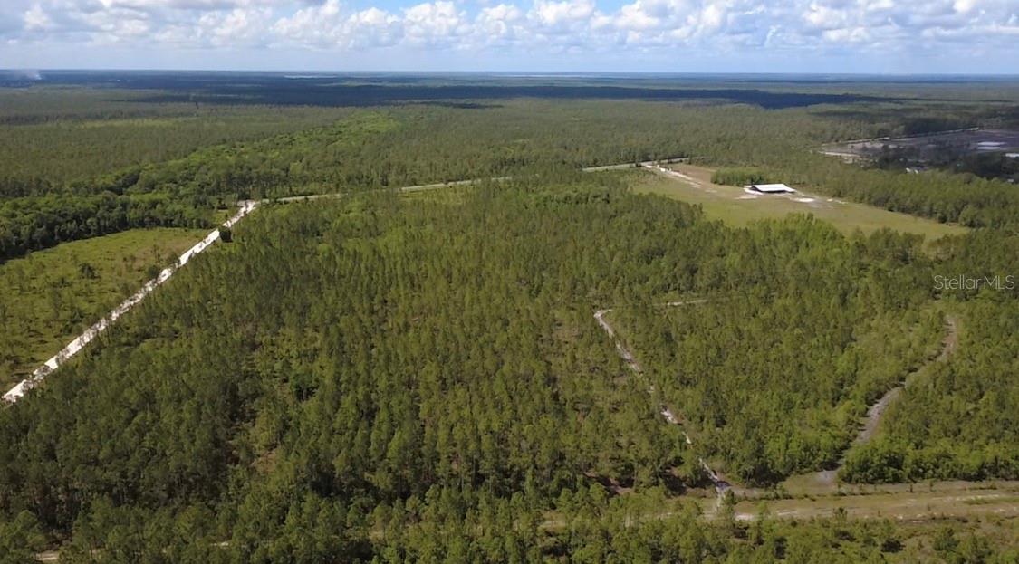 WILD CUR ROAD, Pierson, FL 32180