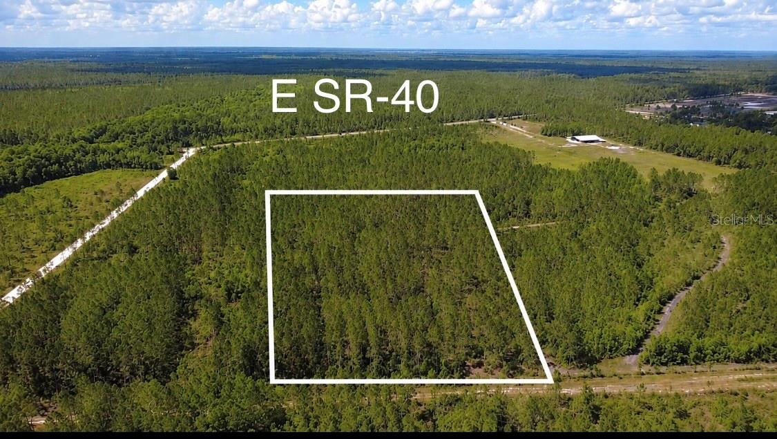 WILD CUR ROAD, Pierson, FL 32180