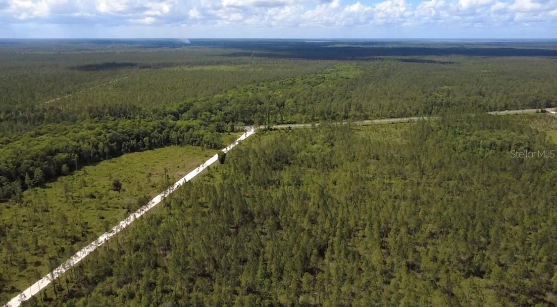 WILD CUR ROAD, Pierson, FL 32180
