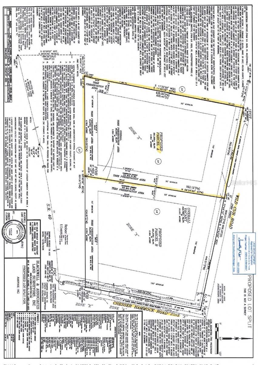 WILD CUR ROAD, Pierson, FL 32180