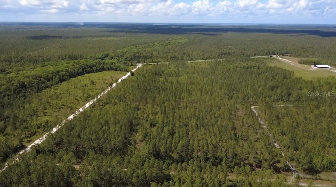 WILD CUR ROAD, Pierson, FL 32180