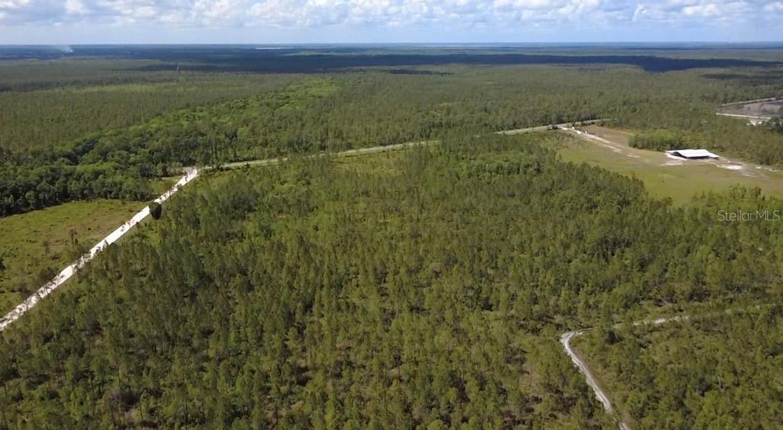 WILD CUR ROAD, Pierson, FL 32180