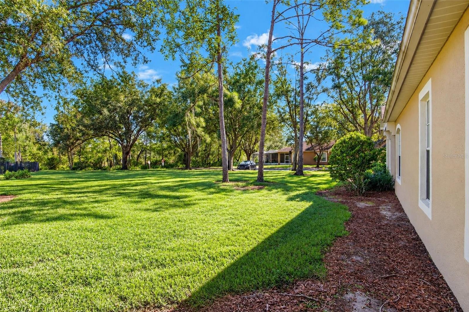 19122 DOVES LANDING DRIVE, Tampa, FL 33647