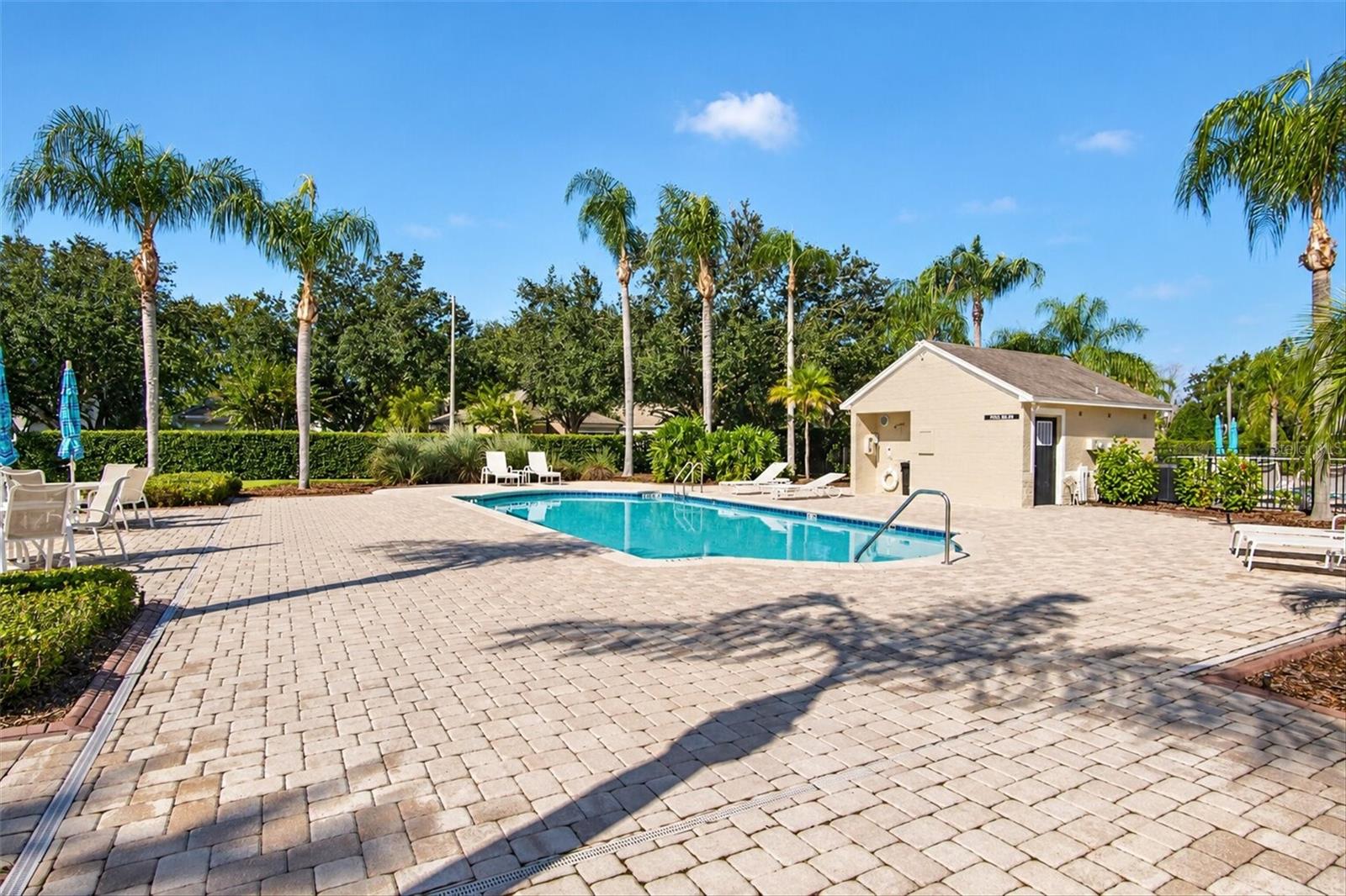 19122 DOVES LANDING DRIVE, Tampa, FL 33647