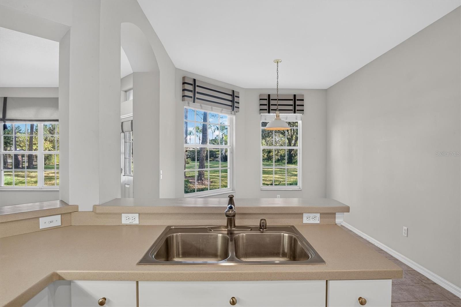 19122 DOVES LANDING DRIVE, Tampa, FL 33647
