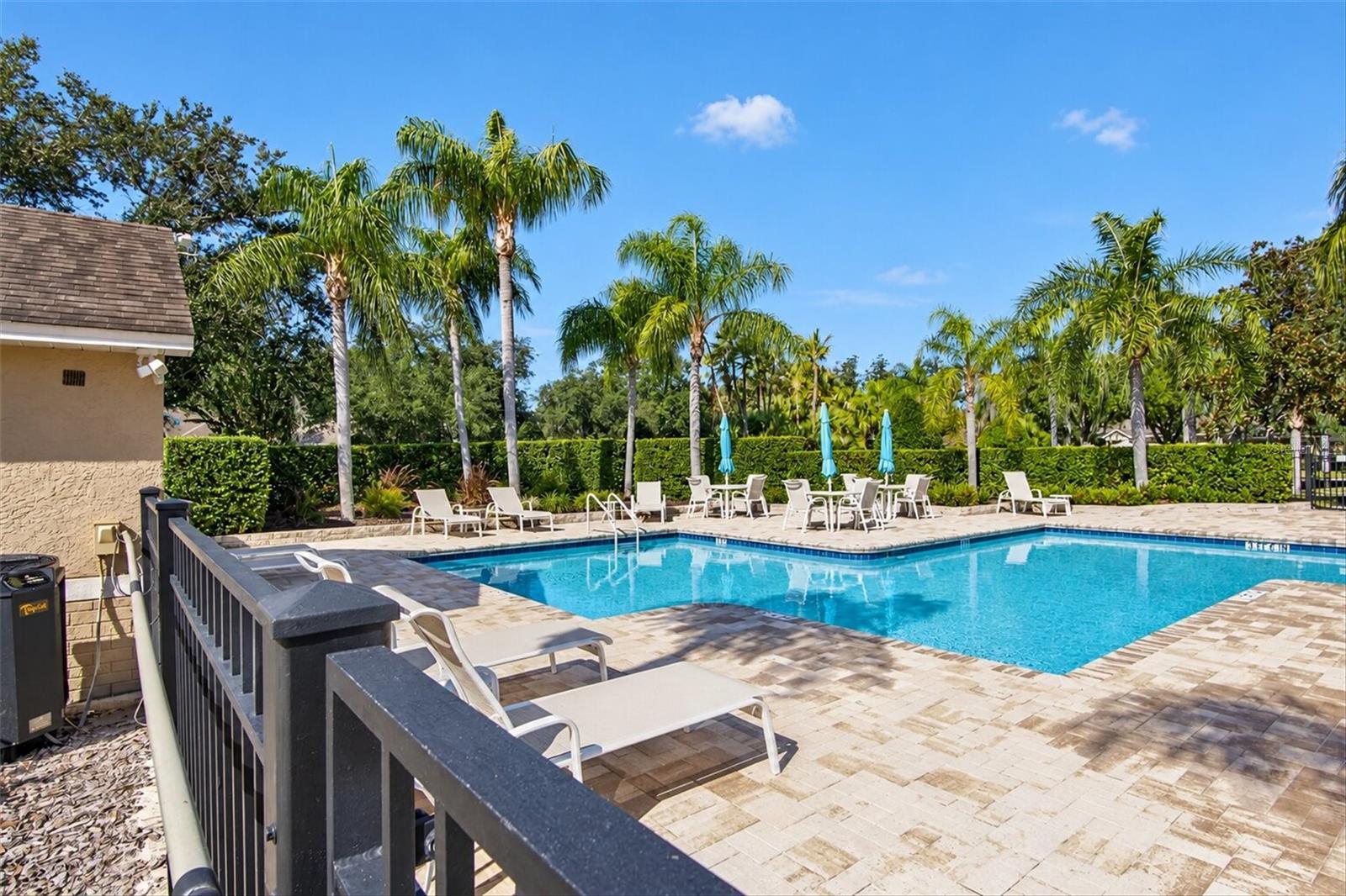 19122 DOVES LANDING DRIVE, Tampa, FL 33647
