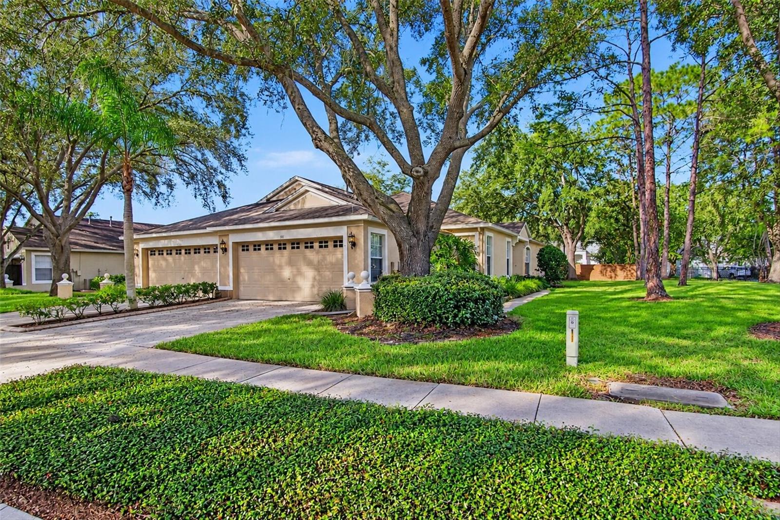 19122 DOVES LANDING DRIVE, Tampa, FL 33647