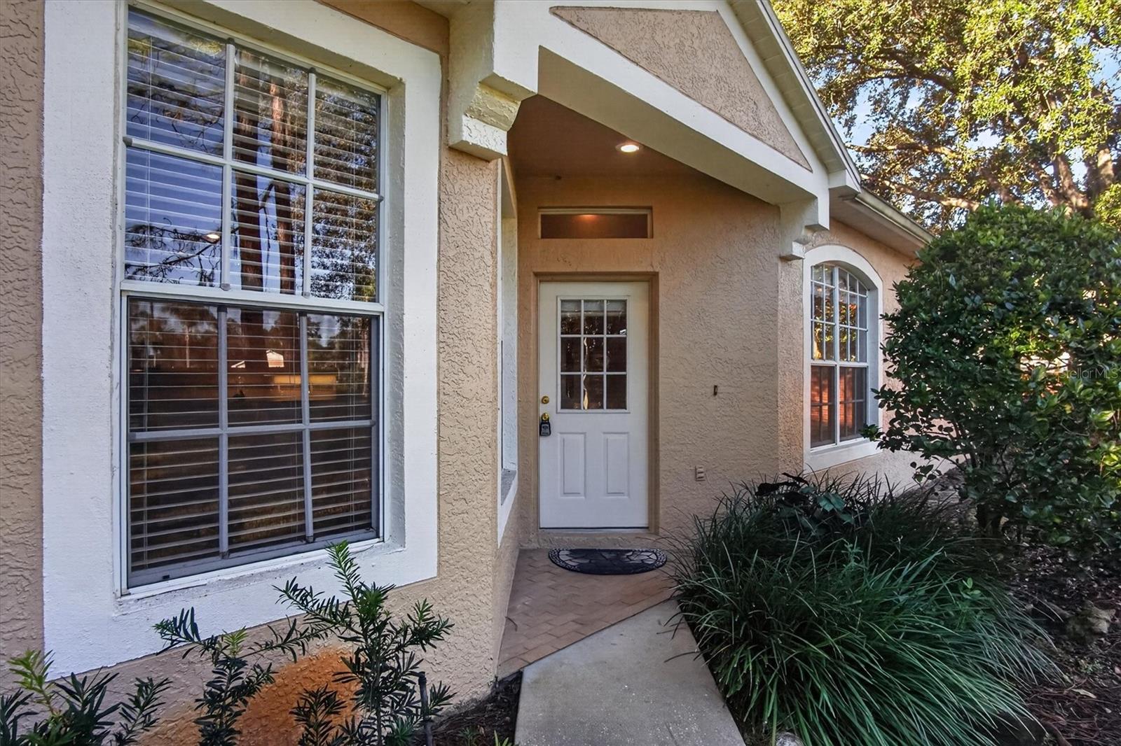 19122 DOVES LANDING DRIVE, Tampa, FL 33647