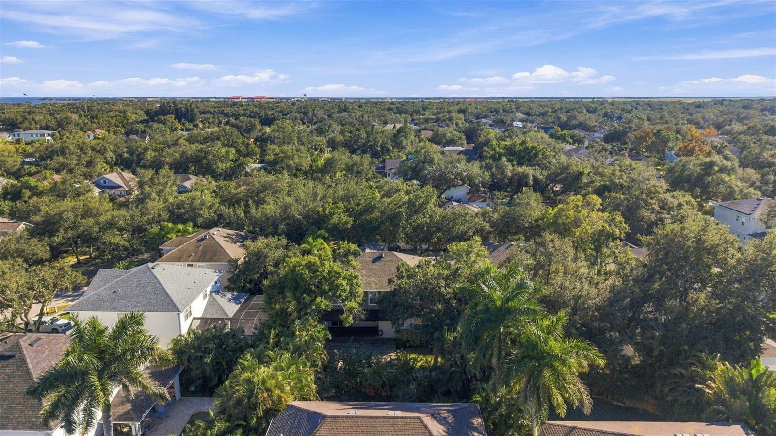 3215 OAK GREEN WAY, Tampa, FL 33611