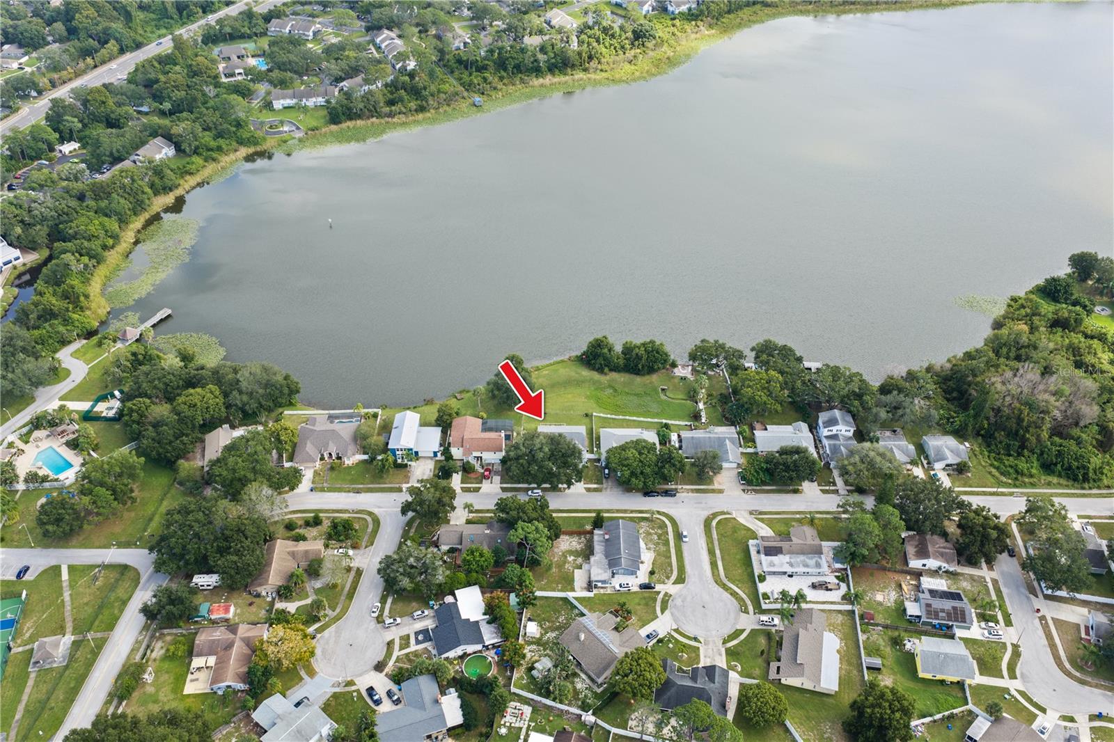 3937 LAKE SHORE DRIVE, Palm Harbor, FL 34684