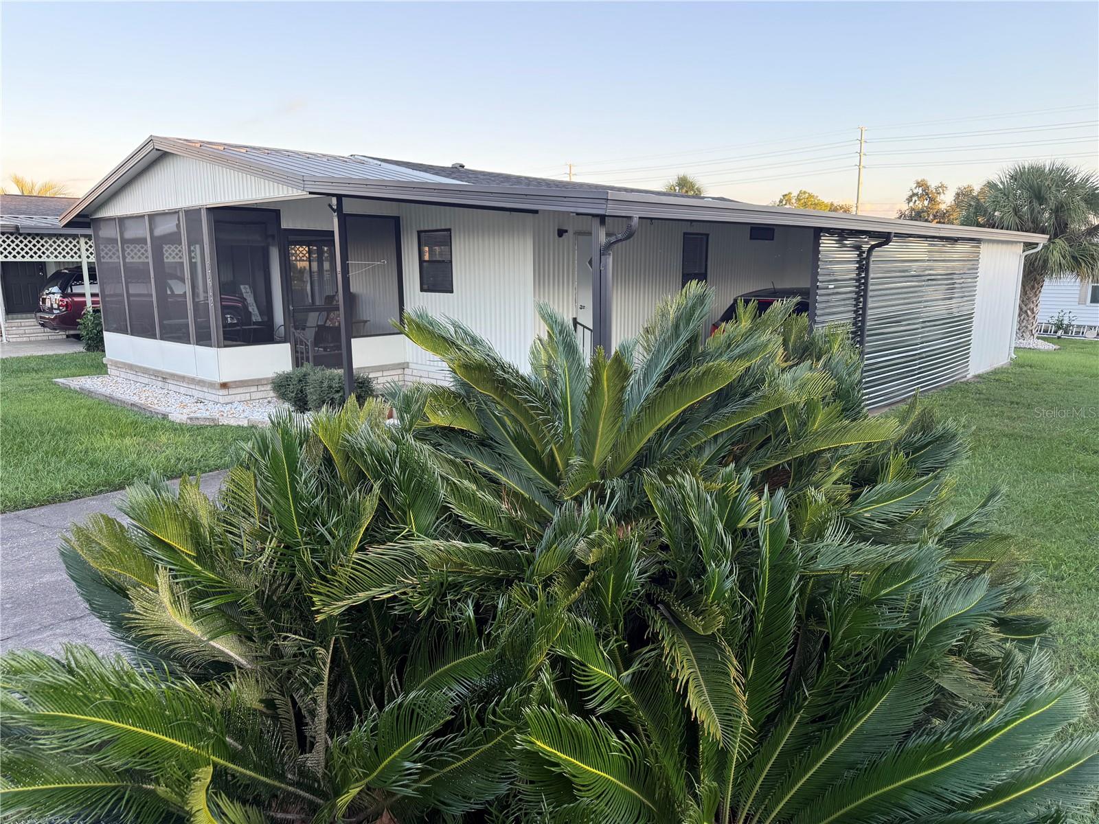 37542 PINATA AVENUE, Zephyrhills, FL 33541