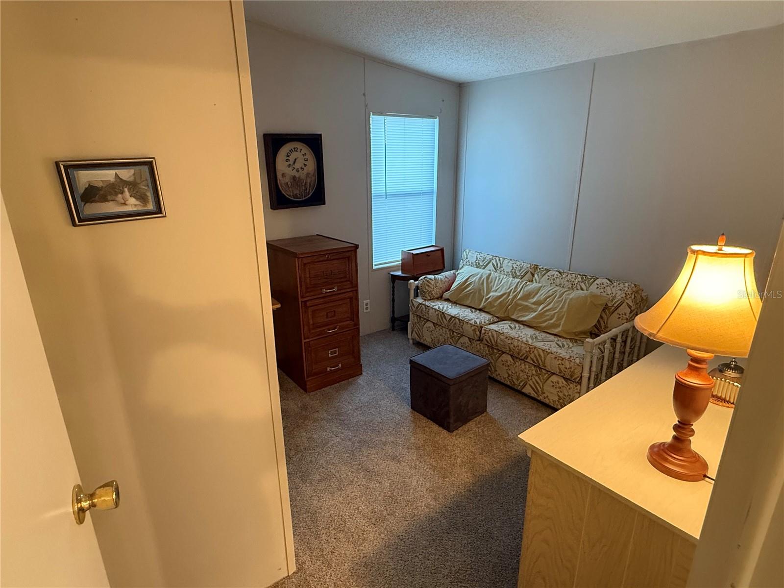 37542 PINATA AVENUE, Zephyrhills, FL 33541