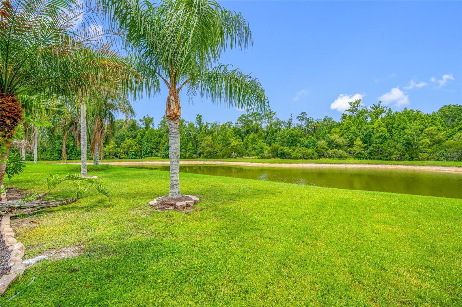 25147 GEDDY DRIVE, Land O Lakes, FL 34639
