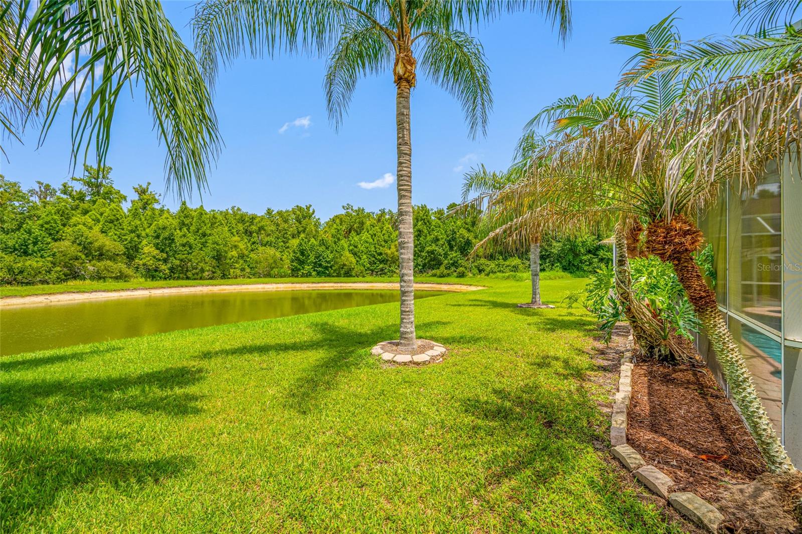 25147 GEDDY DRIVE, Land O Lakes, FL 34639