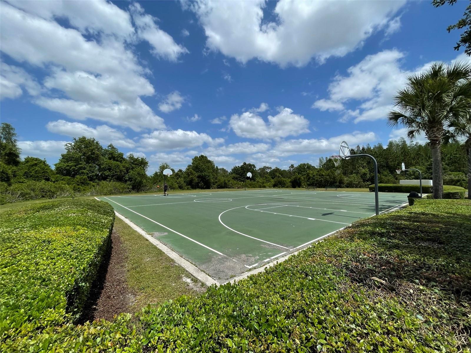 3519 BELLMEADE COURT, Wesley Chapel, FL 33543