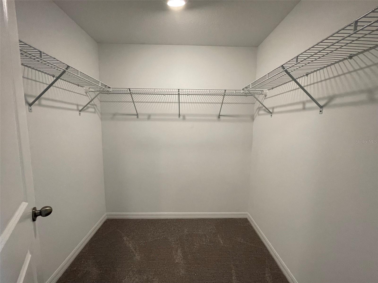 3519 BELLMEADE COURT, Wesley Chapel, FL 33543