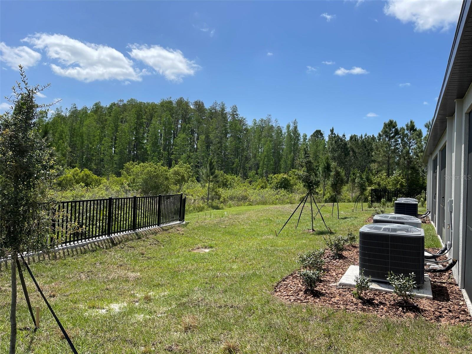 3519 BELLMEADE COURT, Wesley Chapel, FL 33543