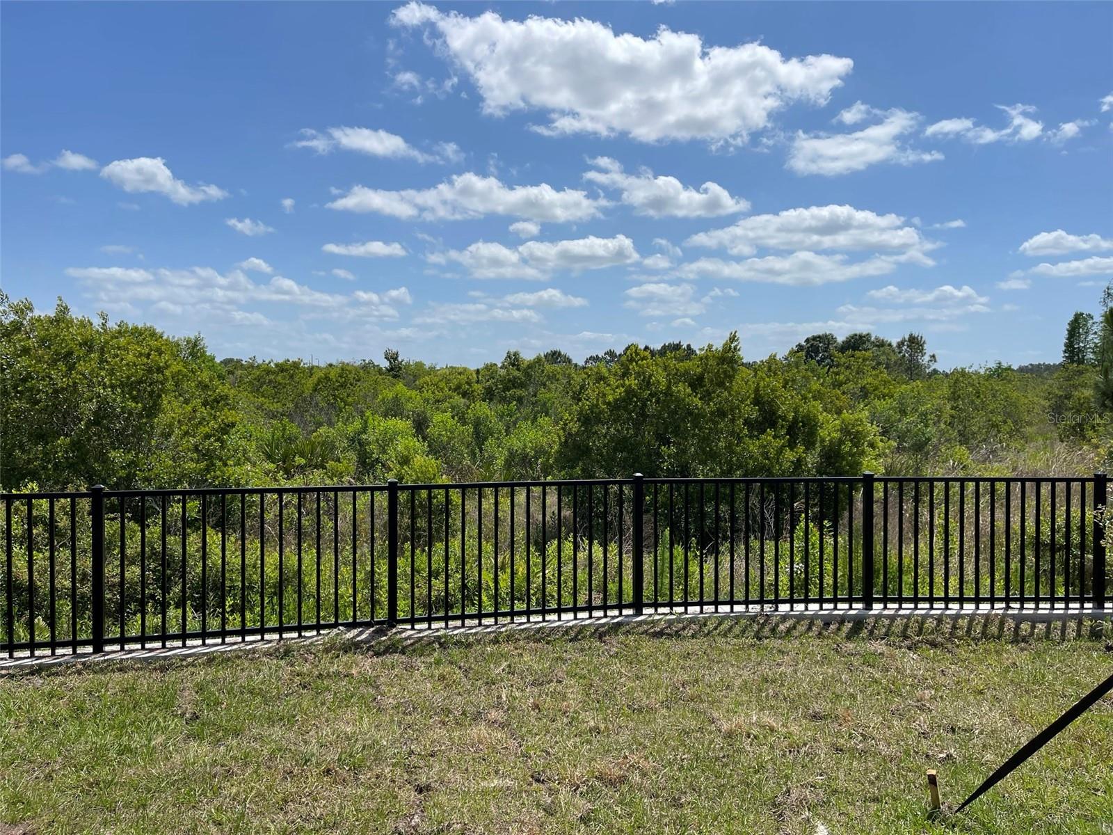 3519 BELLMEADE COURT, Wesley Chapel, FL 33543