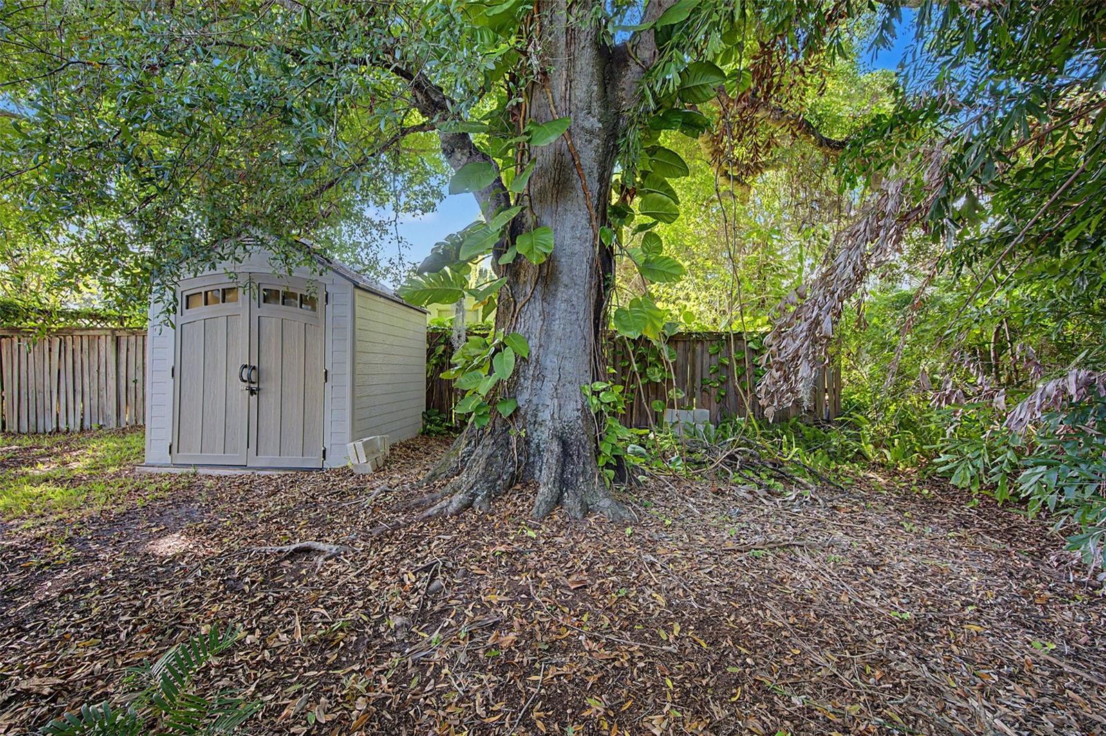 3128 JOHNS PARKWAY, Clearwater, FL 33759